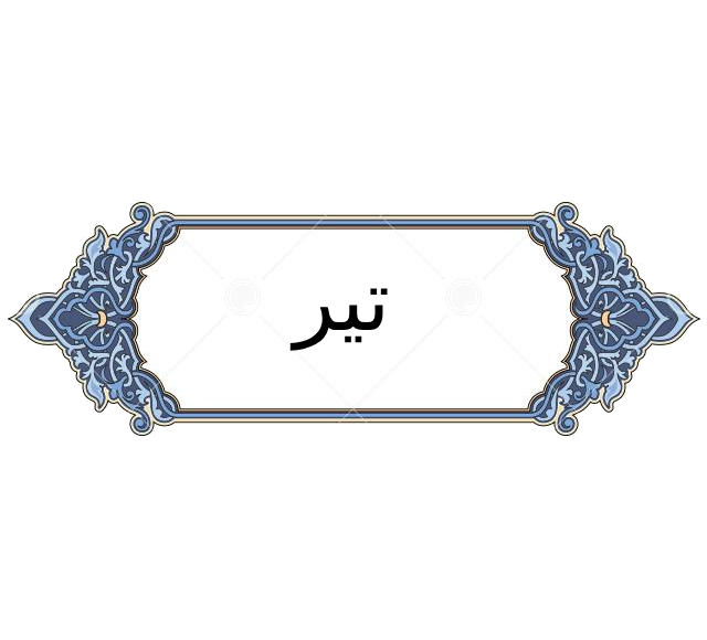 تیر