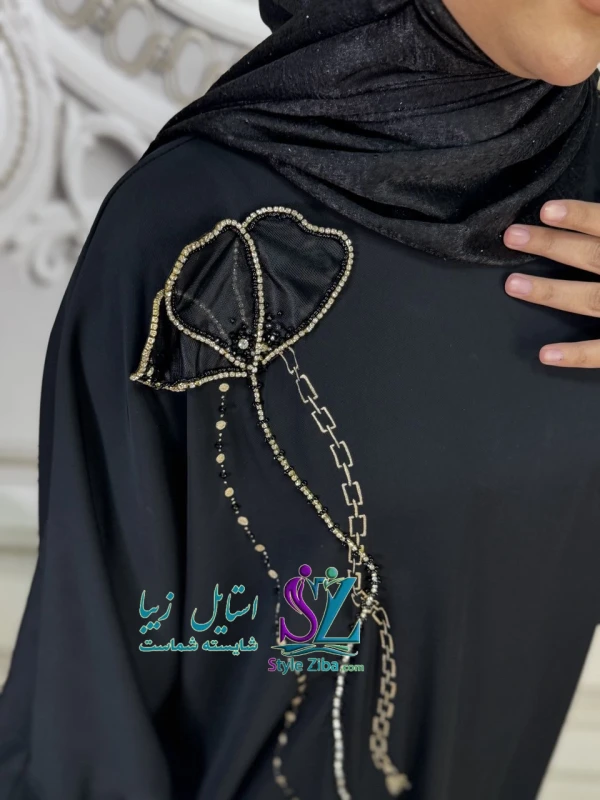 عبا مجلسی ژورژت نایریکا